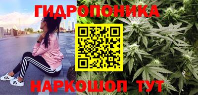Альфа ПВП Будённовск