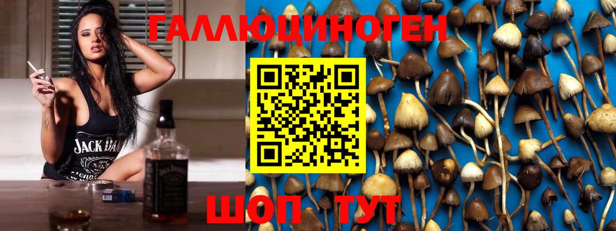 Галлюциногенные грибы мицелий  Вход с VPN  Псилоцибиновые грибы мицелий  Крымск 